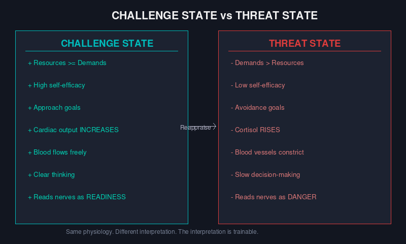 table tennis competition mindset challenge state vs threat state diagram showing physiological differences